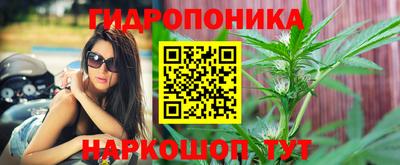 мдма Пенза