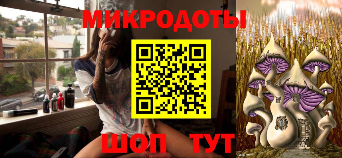 Псилоцибиновые грибы мицелий Тайшет